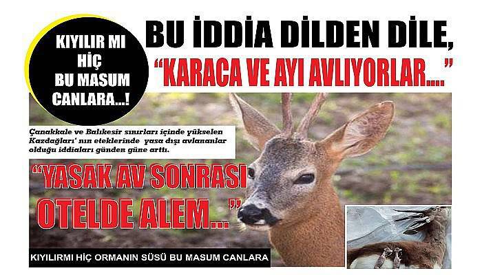 KIYILIR MI HİÇ BU MASUM CANLARA…! BU İDDİA DİLDEN DİLE, 'KARACA VE AYI AVLIYORLAR….'