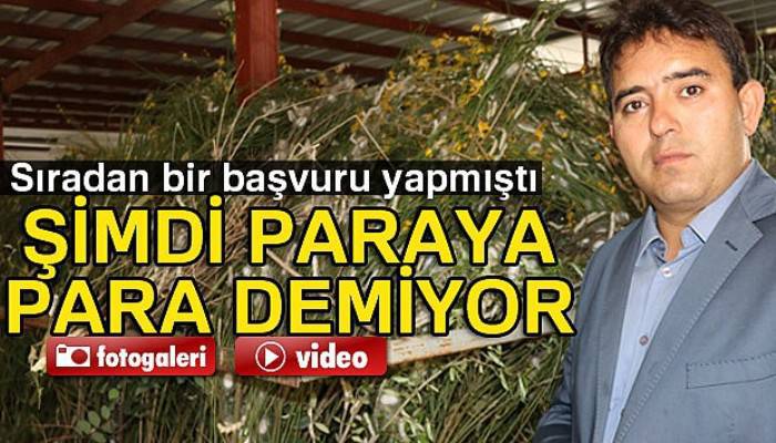 90 metrekarede beslediği İpek böceklerinden 40 günde 15 bin TL kazanıyor