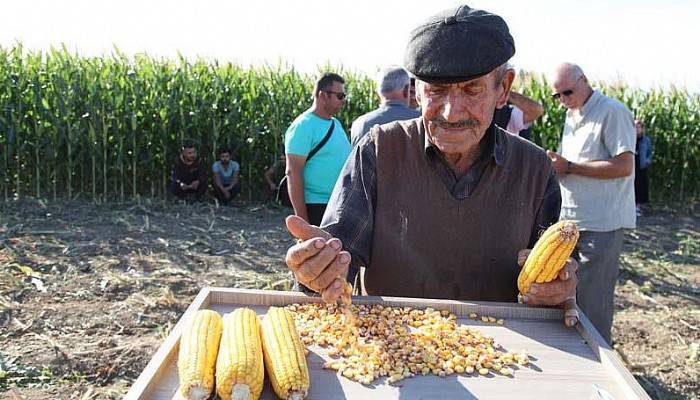 65 Yaş Üstü Çiftçiler Muhtara Haber Vererek Evden Çıkabilecek