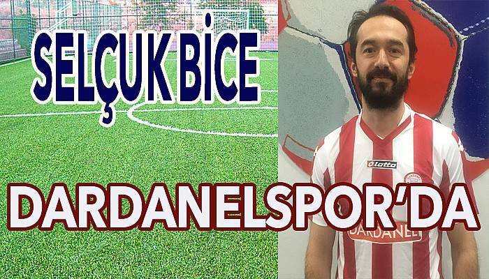 Selçuk Bice Dardanelspor’da