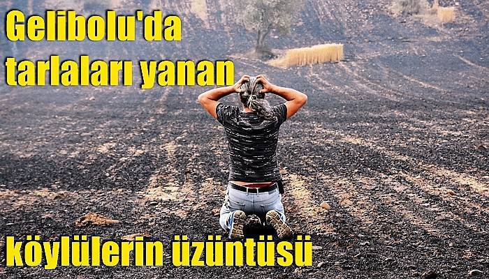 Gelibolu'da tarlaları yanan köylülerin üzüntüsü