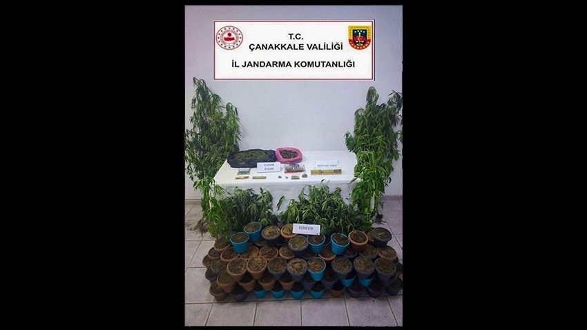 Jandarmadan Uyuşturucu Operasyonu