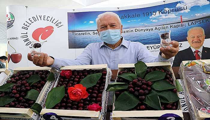 Lapseki'nin bardağa sığmayan şampiyon kirazları belli oldu