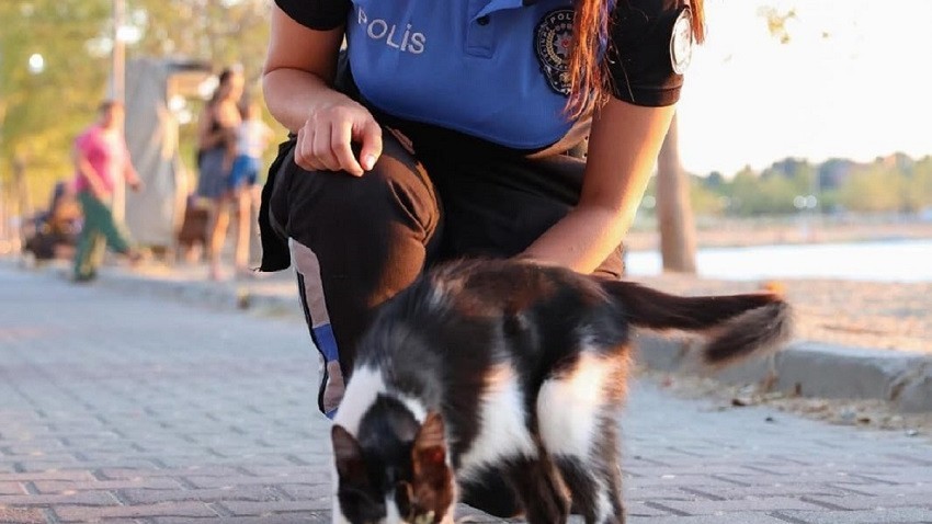 Çanakkale polisi sıcak havalarda sokak hayvanlarını unutmadı