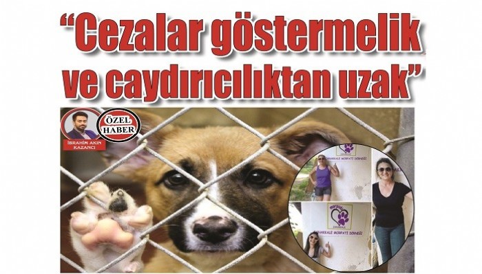 HAYVANLARI KORUMA YASASI YOLDA: 'Cezalar göstermelik ve caydırıcılıktan uzak'