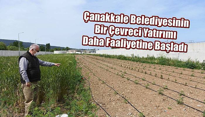 Çanakkale Belediyesinin Bir Çevreci Yatırımı Daha Faaliyetine Başladı