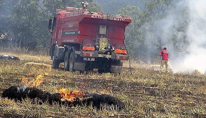 Tarım arazisindeki yangın ormanı da yaktı (VİDEO)