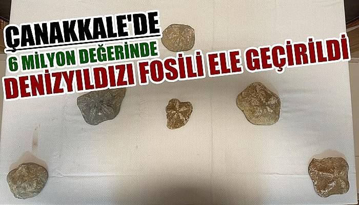 Çanakkale’de 6 milyon değerinde denizyıldızı fosili ele geçirildi (VİDEO)