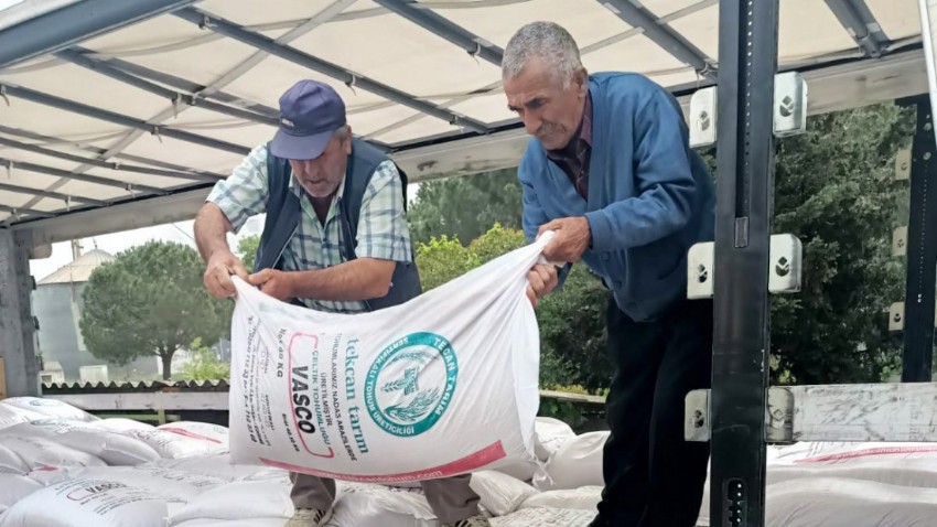 Damla Sulama Yöntemiyle Çeltik Üretimi Artıyor