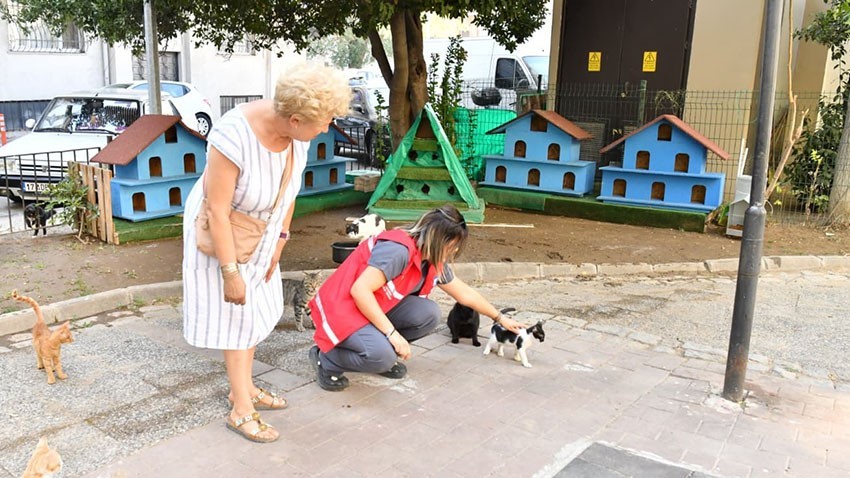 Halk Bahçesi’ndeki Kedi Evi Taşındı