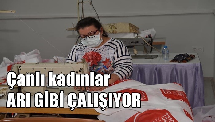 Çanlı kadınlar arı gibi çalışıyor