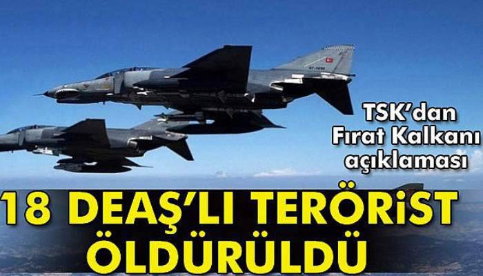  TSK: 18 DEAŞ terör örgütü mensubu etkisiz hale getirildi