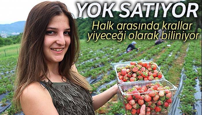 Fiyatı 40 TL'yi bulan Osmanlı Çileği yok satıyor