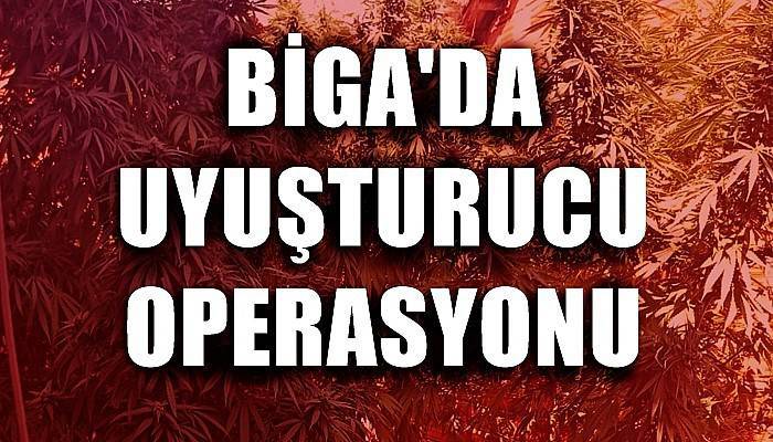 Biga'da uyuşturucu operasyonu