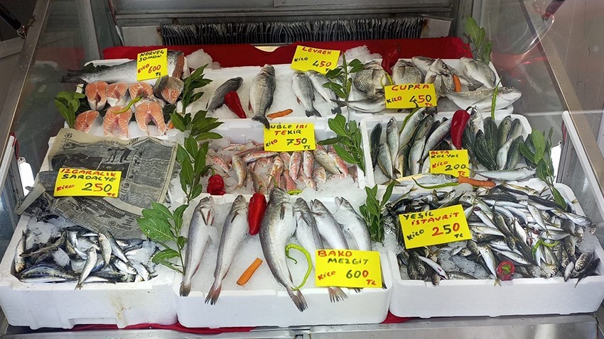 Sardalya 250 TL’ye Çıktı