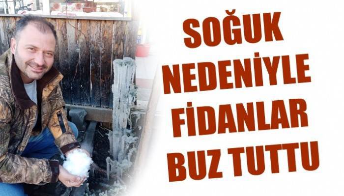 Çanakkale'de soğuk nedeniyle fidanlar buz tuttu (VİDEO)