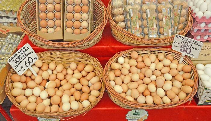 Yumurta üretimi çok tüketim yapan yok