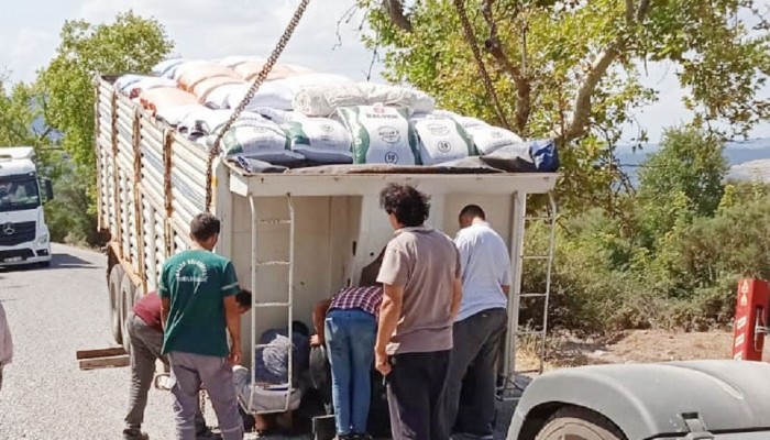 Seyir halindeki TIR’ın dorsesi düştü