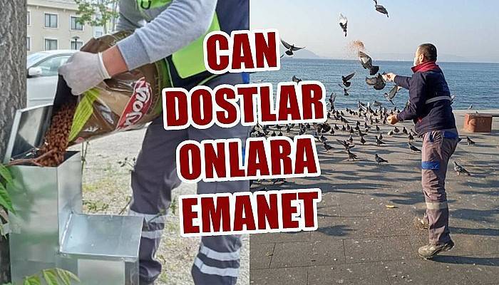 Can dostlar onlara emanet