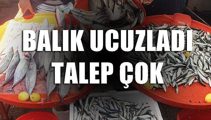 Balık ucuzladı talep çok