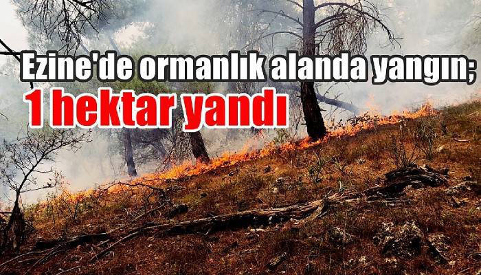 Ezine'de ormanlık alanda yangın; 1 hektar yandı