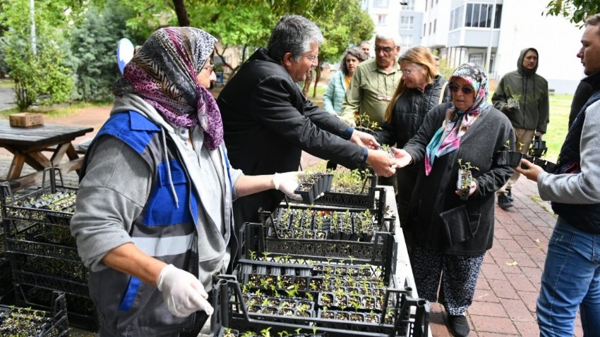 Yerel Tohumlardan Üretilen Fideler Kentlilerle Buluştu