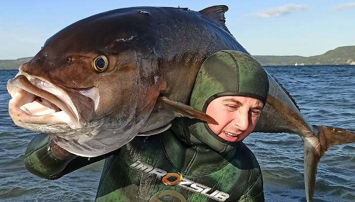 Zıpkınla 58 kilo ağırlığında, 1 metre 80 santim boyunda akya avladı (VİDEO)