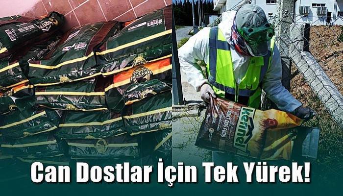 Tüylü Dostlarımıza Mama Desteği Sağlandı