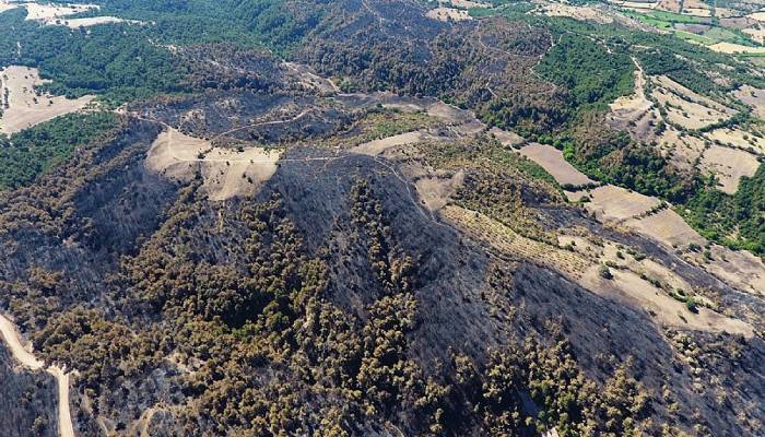 Çanakkale'de yanan orman alanları ilk kez drone ile görüntülendi (VİDEO)