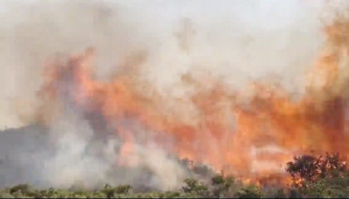 Bozcaada’da dumanlar yükseldi