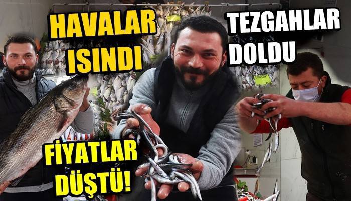 Çanakkale’de havalar ısındı balık tezgahları doldu, fiyat düştü (VİDEO)