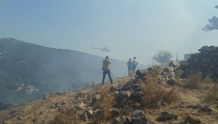 Kösedere ve Tavaklı Köylerinde Yangın