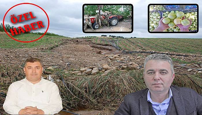 Sel tarımı da vurdu 