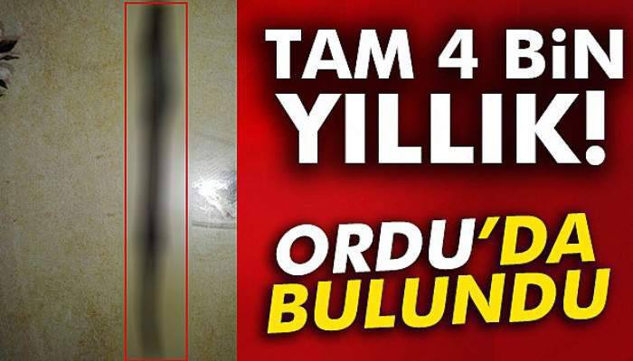  Tam 4 bin yıllık mızrak ucu