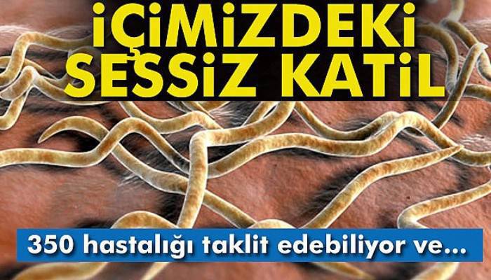 Bu bakteriye dikkat! 350 hastalığı taklit edebiliyor