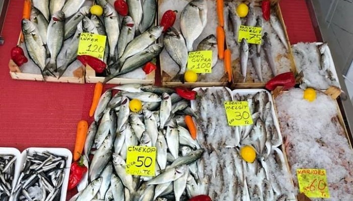 Havalar Soğudu Balık Fiyatları Yükseldi