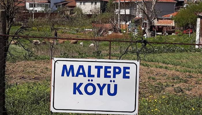 Çanakkale'nin Maltepe köyünde karantina süresi uzatıldı