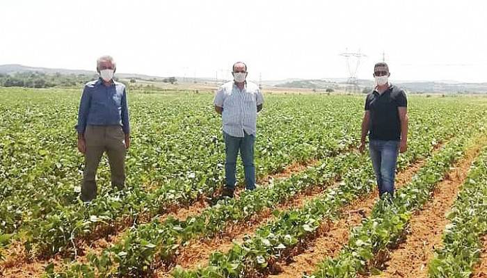 İLÇE TARIM VE ORMAN MÜDÜRLÜĞÜ ZİRAİ EKİPLERİ, EKİLİ TARLALARI İNCELEDİ