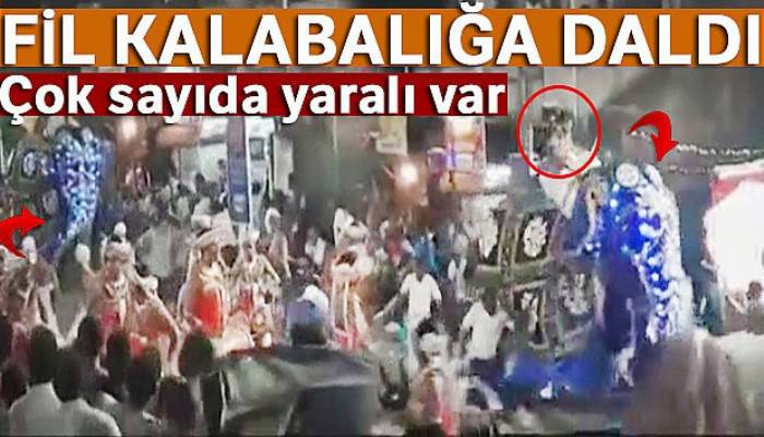 Sri Lanka'da fil kalabalığa daldı: 17 yaralı