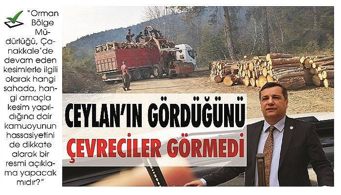 Ceylan’ın gördüğünü çevreciler görmedi