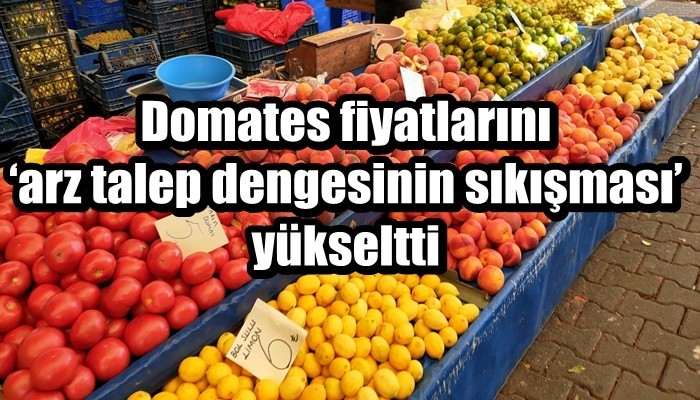Domates fiyatlarını ‘arz talep dengesinin sıkışması’ yükseltti