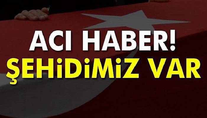 TSK: 'Bestler-Dereler'de 1 asker şehit oldu'