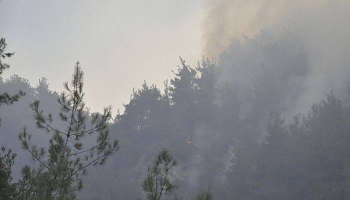 Hatay’da orman yangını