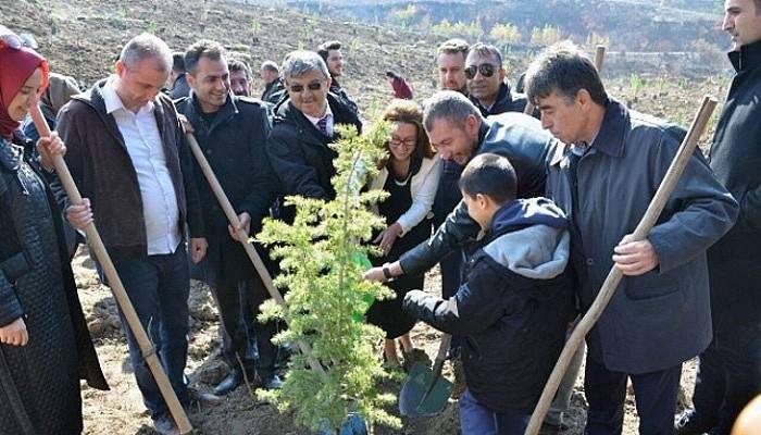 Çanakkale'de Ömer Halisdemir Hatıra Ormanı Oluşturuldu