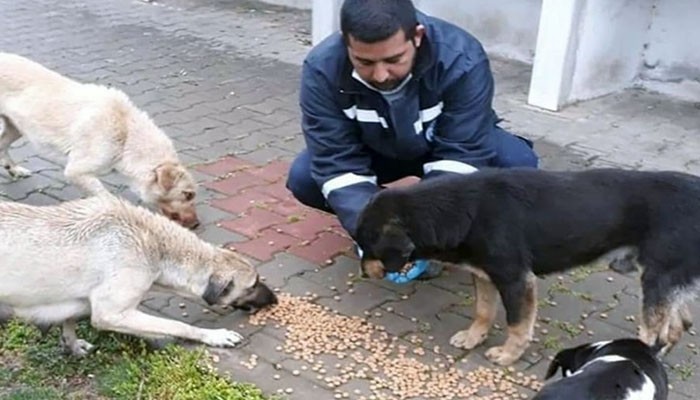 Sokak Hayvanlarını Unutmadılar