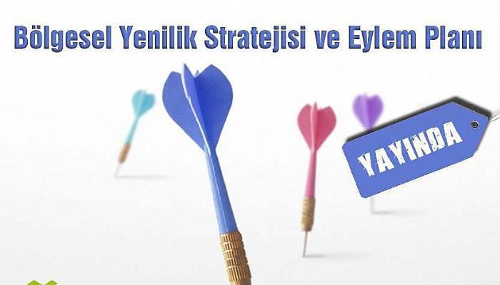 Bölgesel Yenilik Stratejisi ve Eylem Planı Hazırlandı