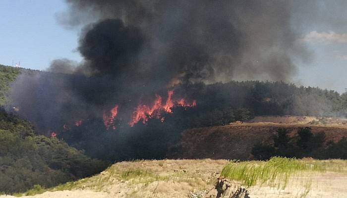 Çanakkale'de orman yangını  (VİDEO)
