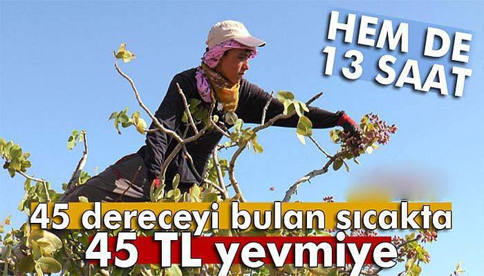 45 dereceyi bulan sıcakta 45 TL yevmiye