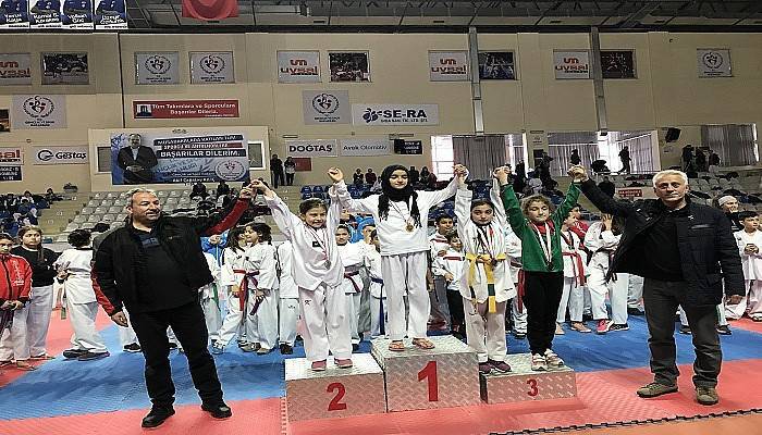 Taekwondo Şampiyonası Düzenlendi