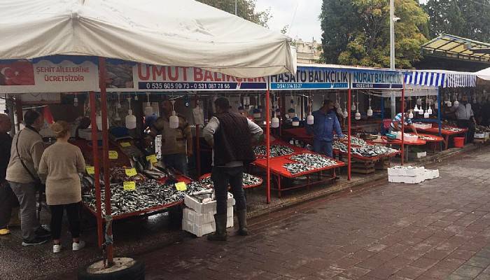 Hamsi 20 liradan tezgahlarda